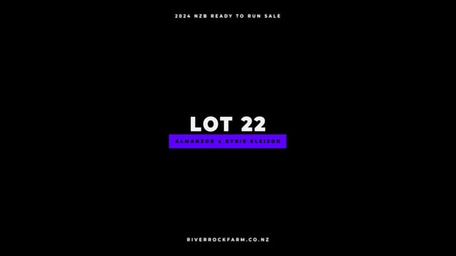 Lot 22