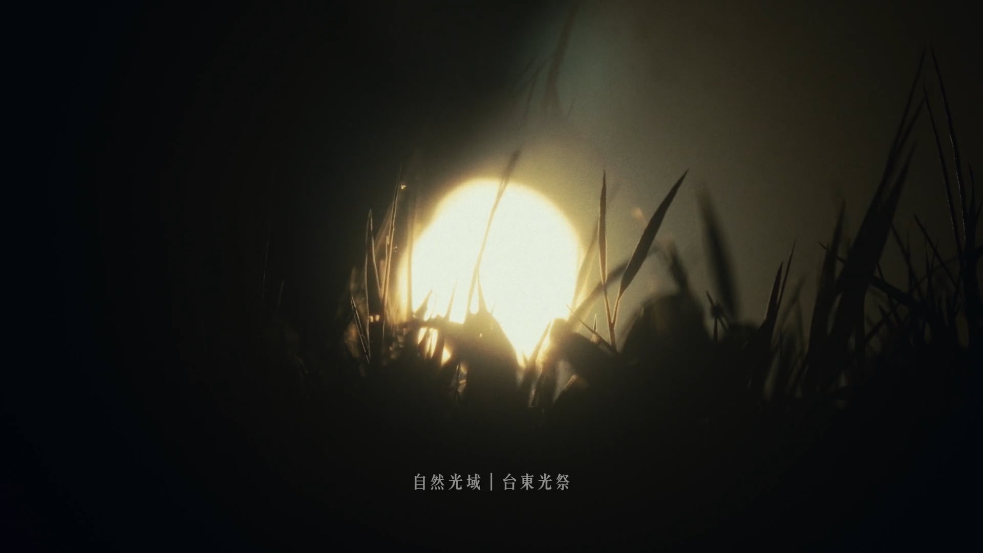 2024 台東光祭《日月星辰》｜形象CF