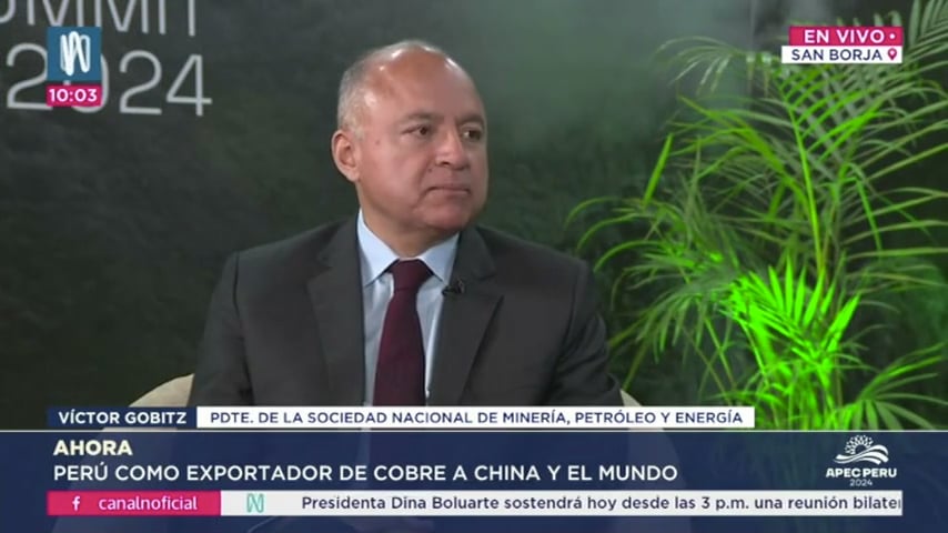 Entrevista a Víctor Gobitz en Canal N