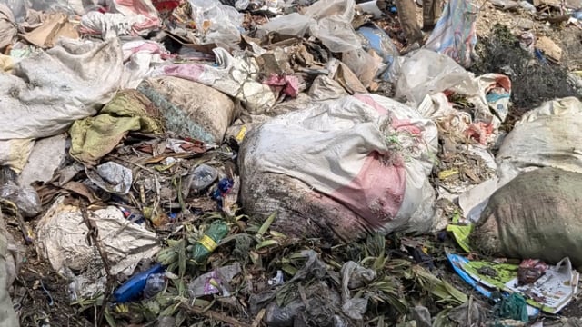 Les poubelles oubliées