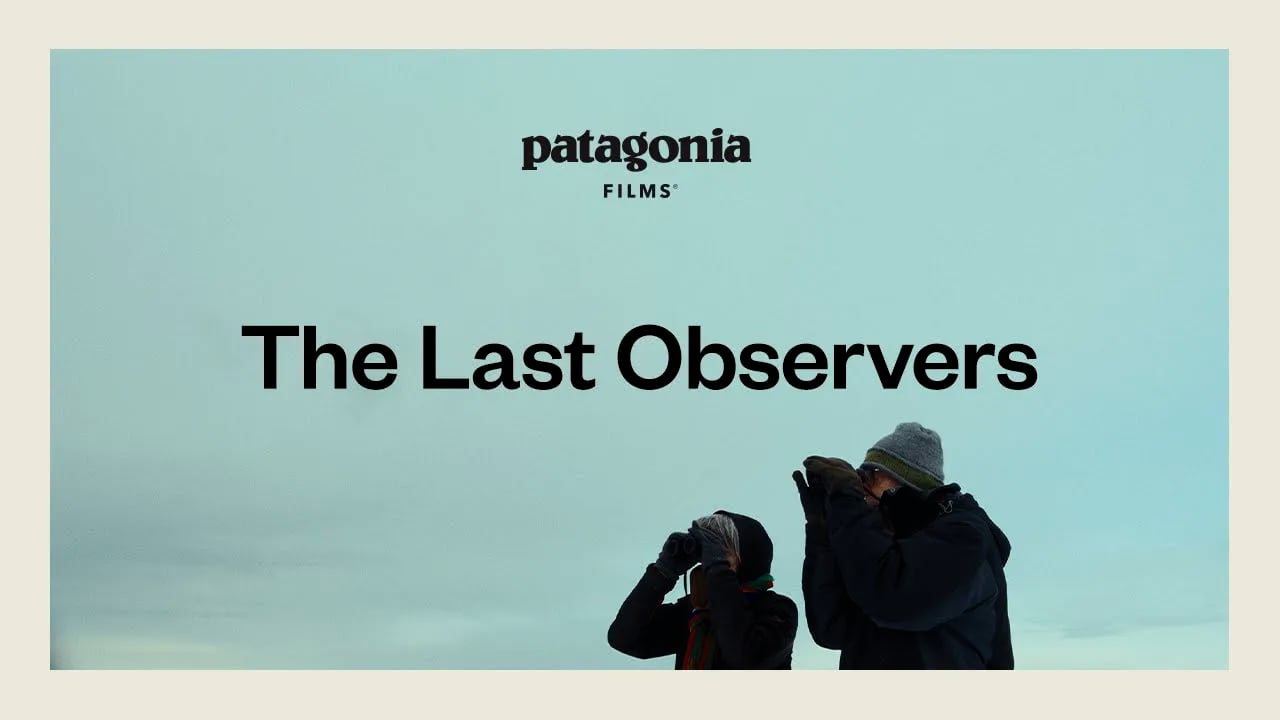 The Last Observers