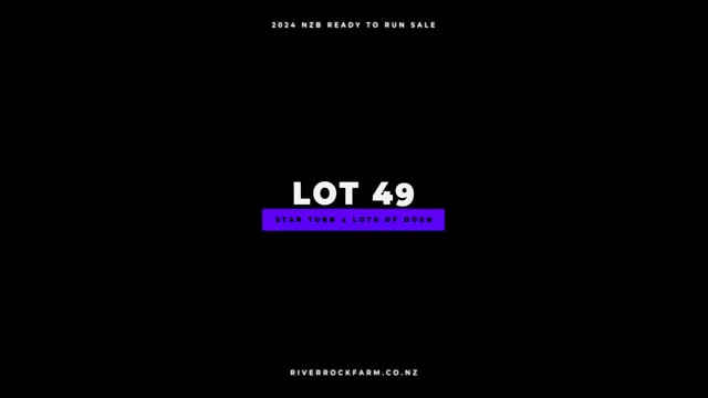 Lot 49