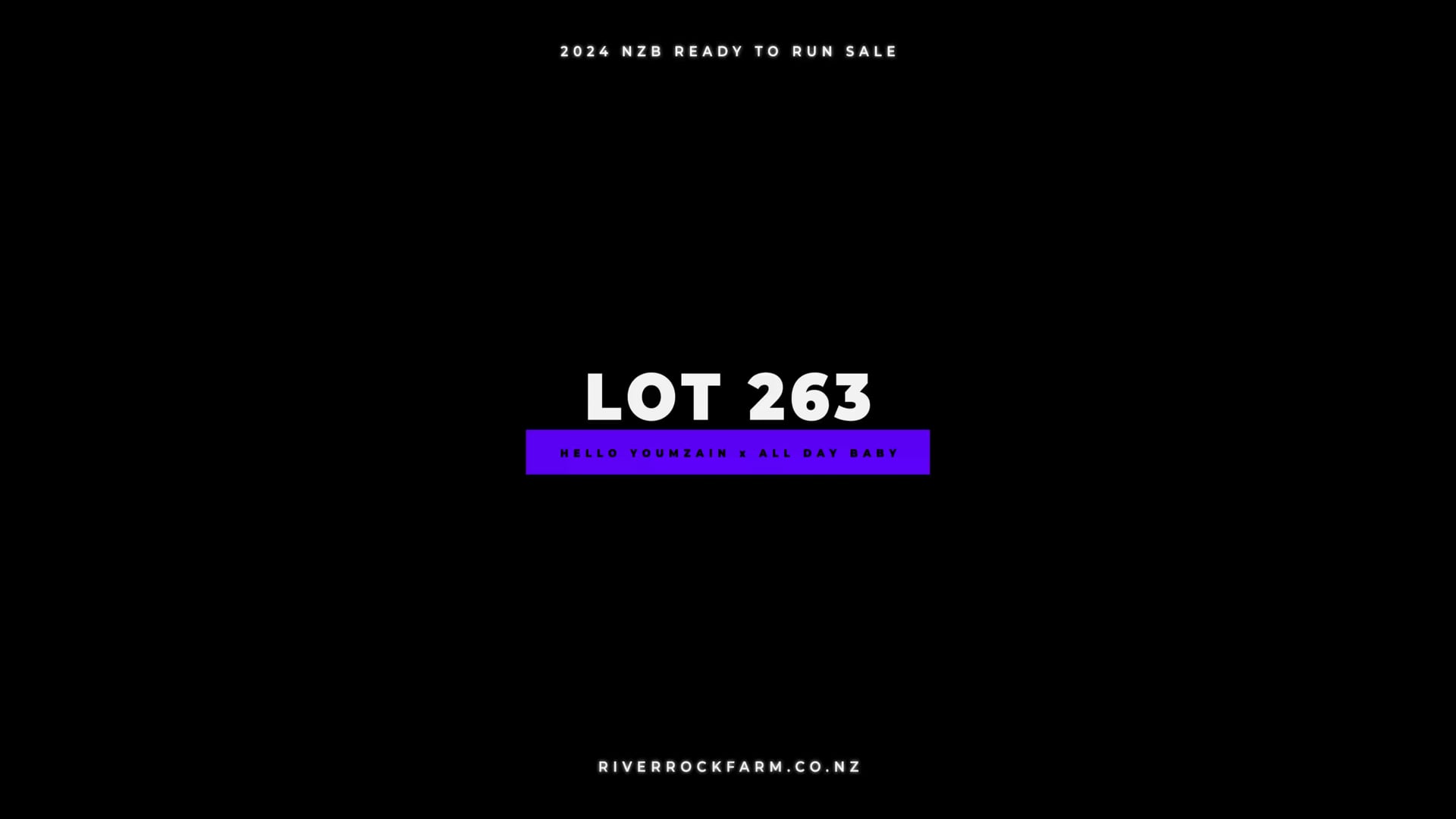24RTR, Lot 263
