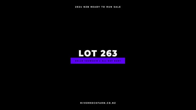 Lot 263