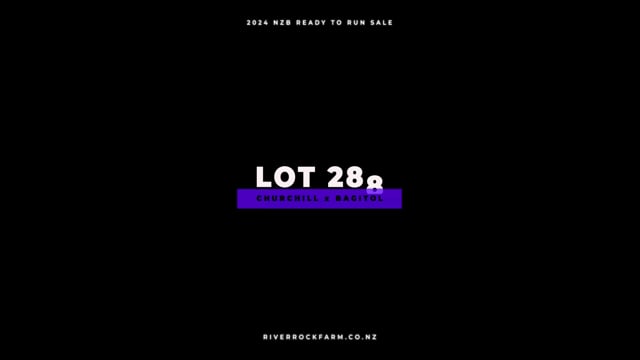 Lot 288