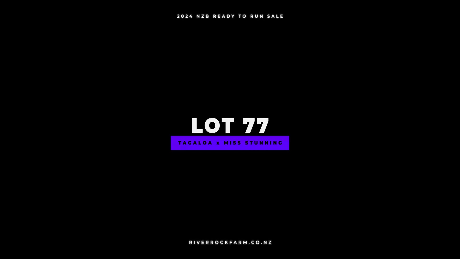 24RTR, Lot 77