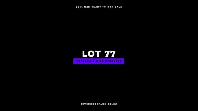 Lot 77