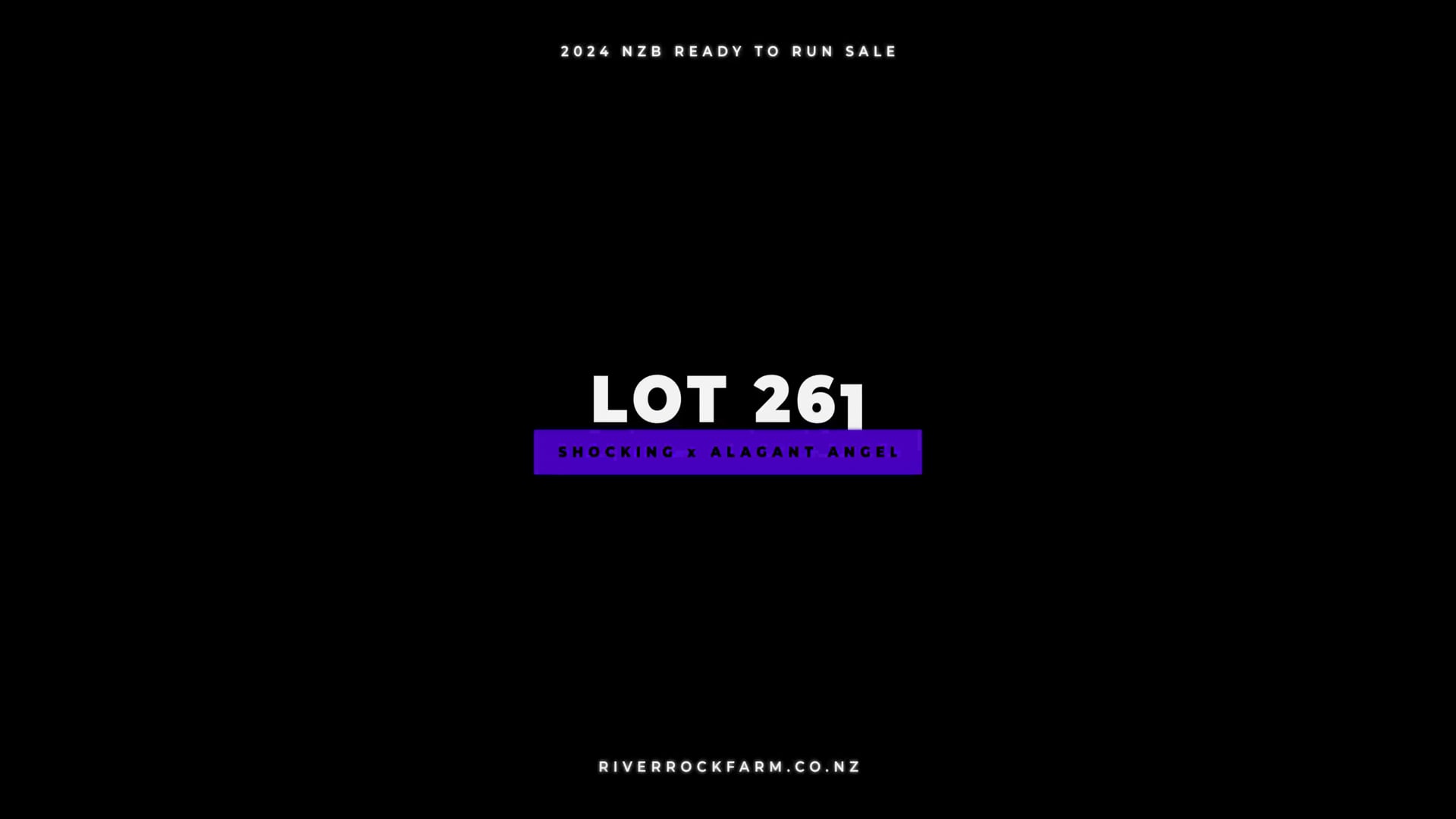 24RTR, Lot 261