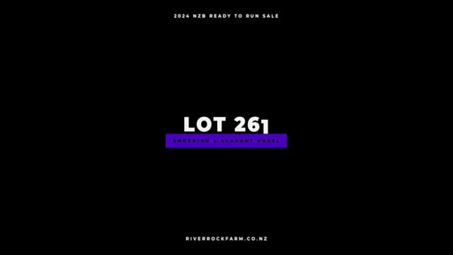 Lot 261