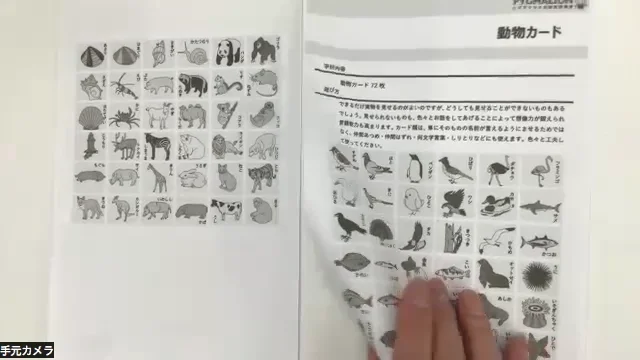 乳児ランド講座B会員