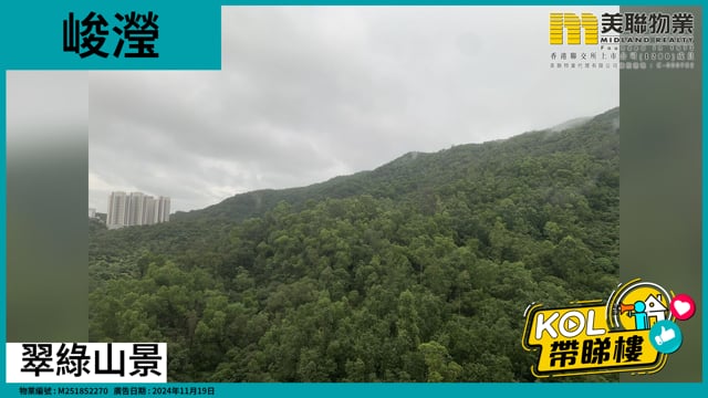 翠綠山景