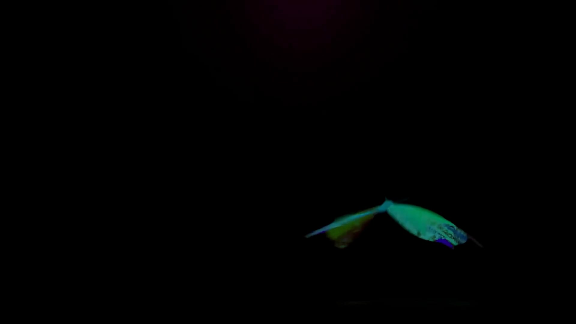 https://i.vimeocdn.com/video/1951883057-632cf5b0cdb8a3bbae3f1b7ca7f417af244764dbc9a295e2bf9b82ea30fadc47-d