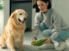 Tall Tails Rock Foraging Mat Interactive Dog Slow Feeder Mat thumbnail number