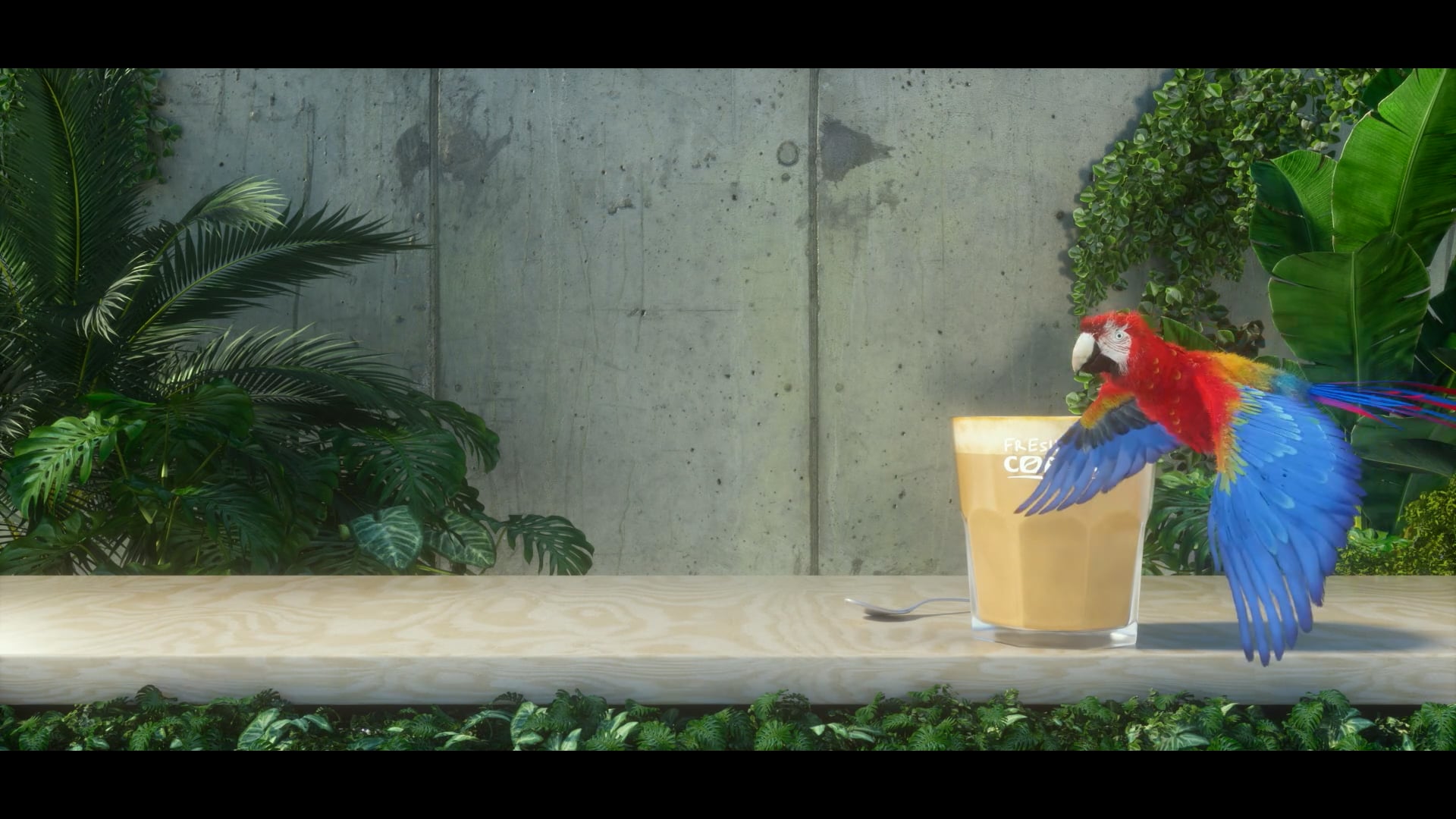 MOL FRESH CORNER parrot led animation