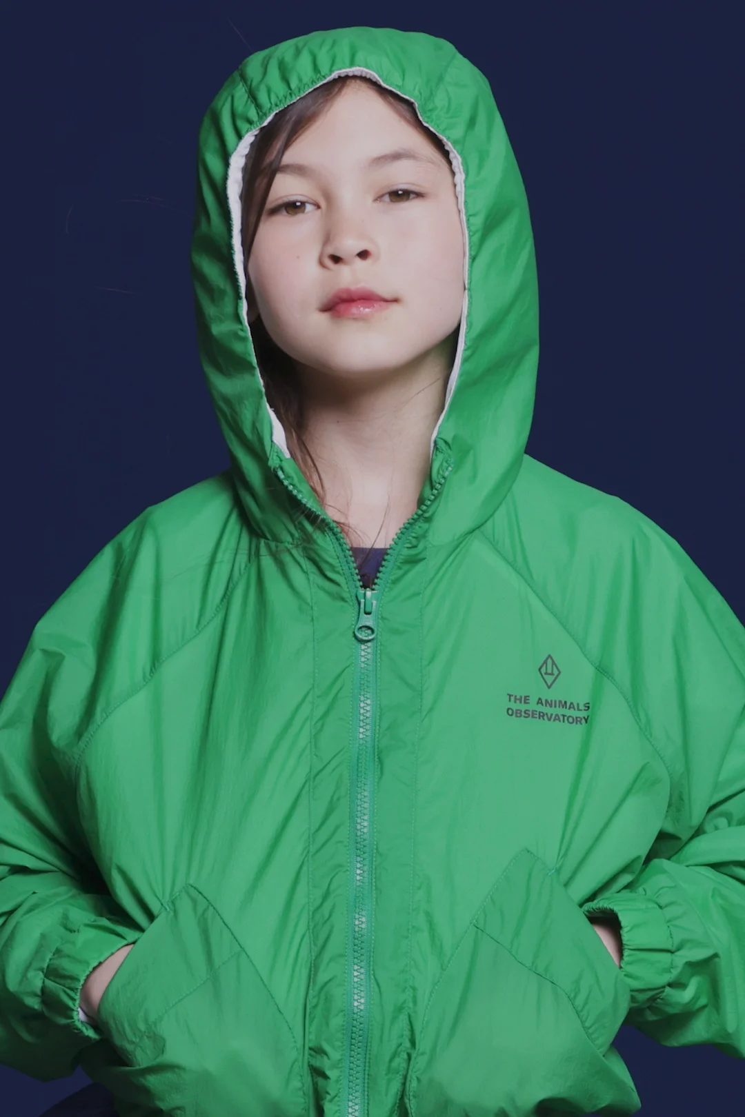 Green Poodle Fox Windbreaker | The Animals Observatory Green Poodle Fox Windbreaker | The Animals Observatory