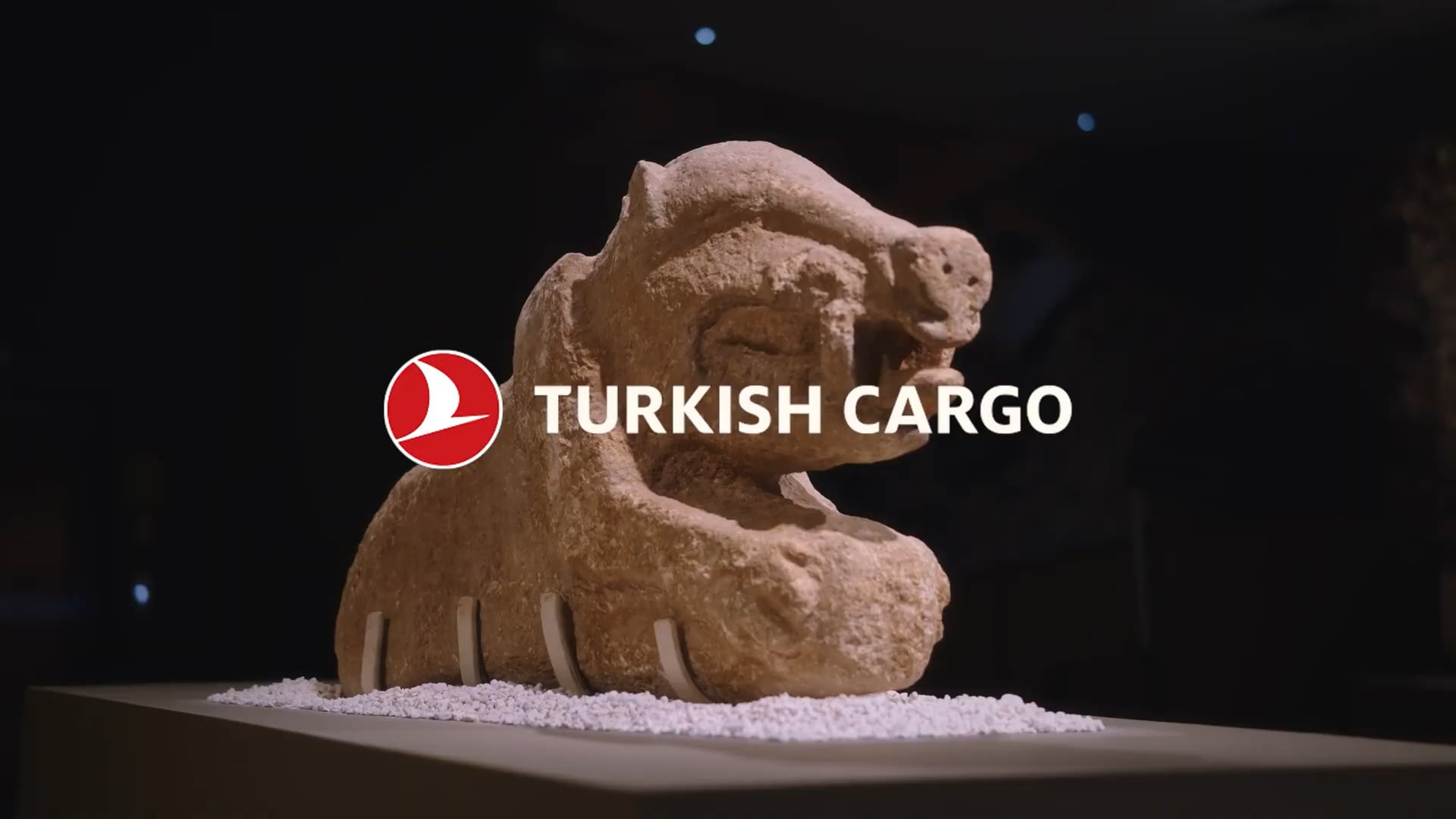 Wings of Culture - Turkish Cargo - Turkish Airlines