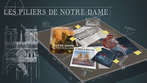 THE PILLARS OF NOTRE DAME