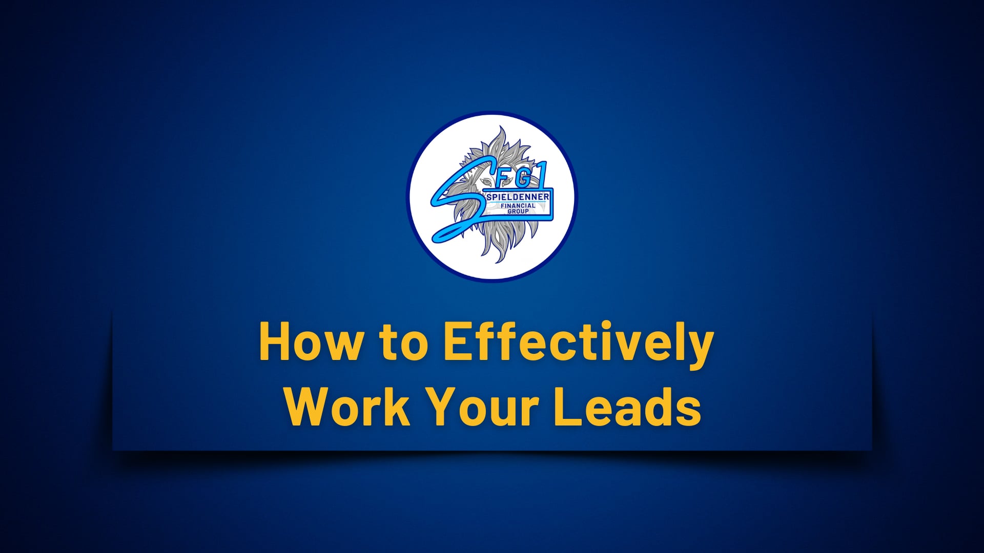 How to Effectively Work Your Leads