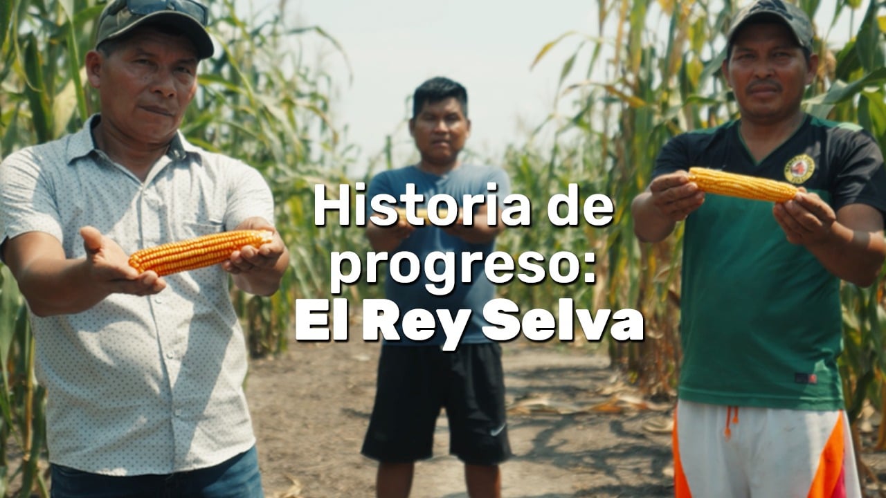 Conoce la historia de progreso de El Rey Selva