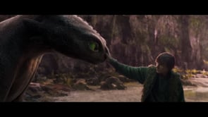 How to train your dragon