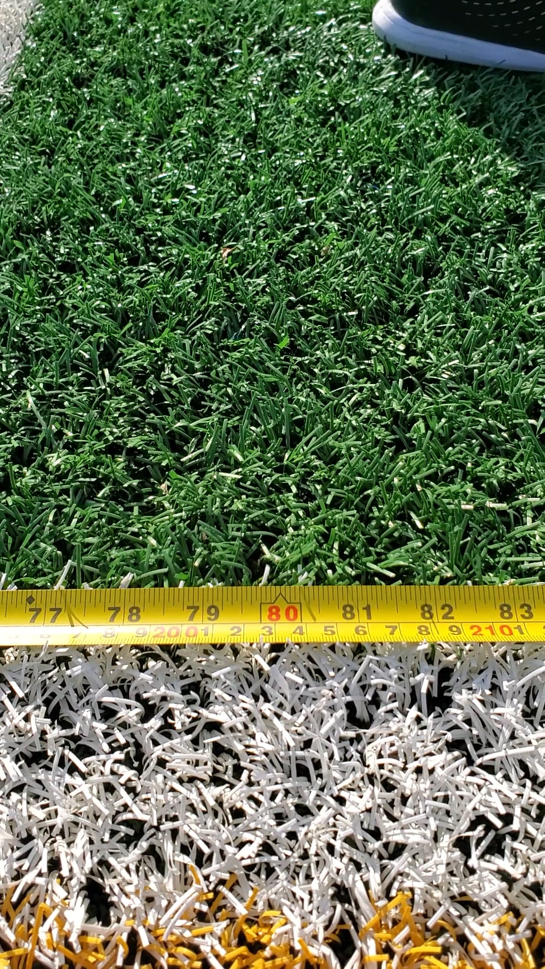 Watch marielle paradis's Broad Jump: 79.8 inches