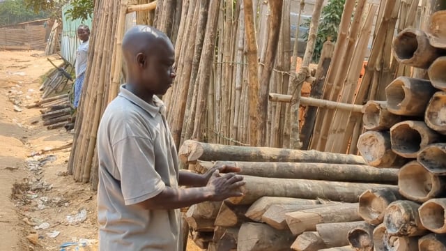 La forêt sacrifiée