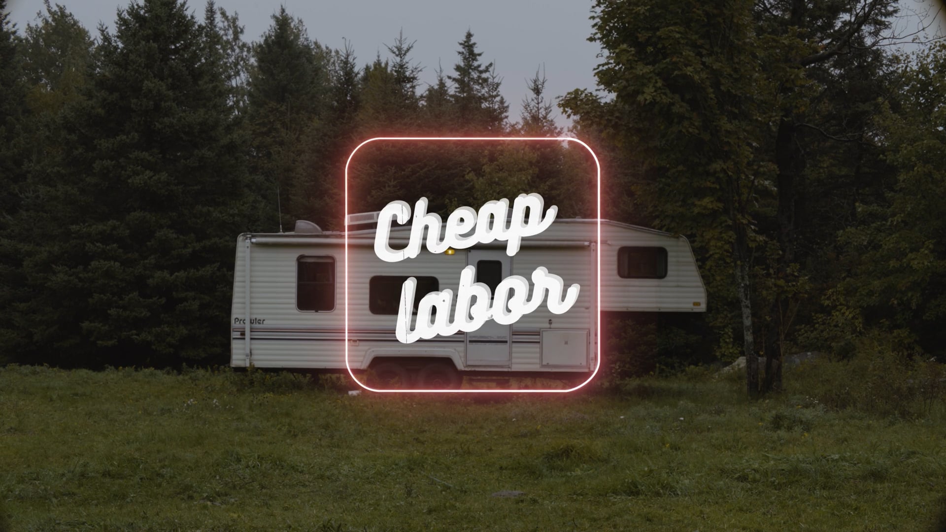 Trace D'ours - Cheap Labor