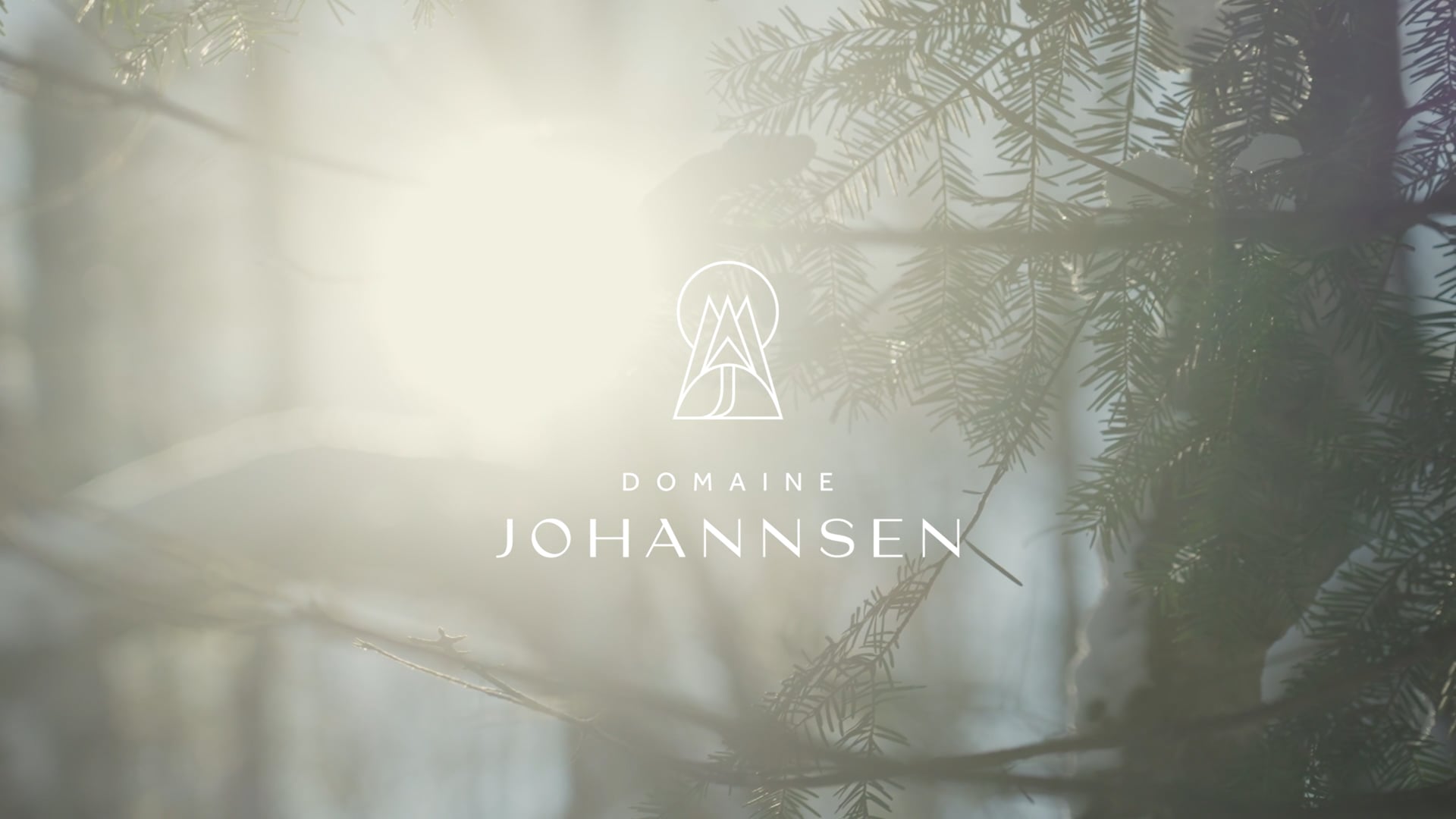 Domaine Johannsen - Velo