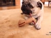 Tall Tails Bully Stick Holder & Dog Chew Toy, 7" Large thumbnail number