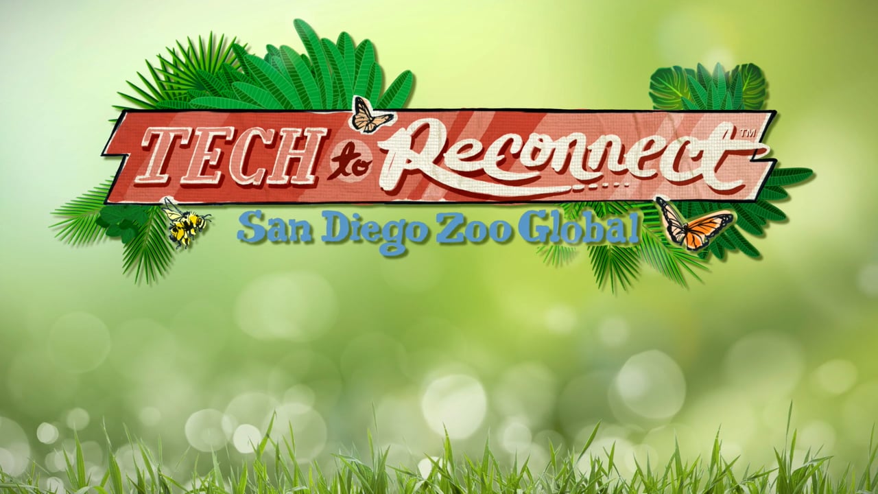 Tech to Reconnect