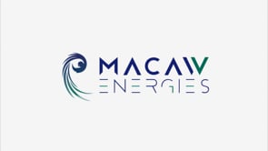 Macaw logo animation