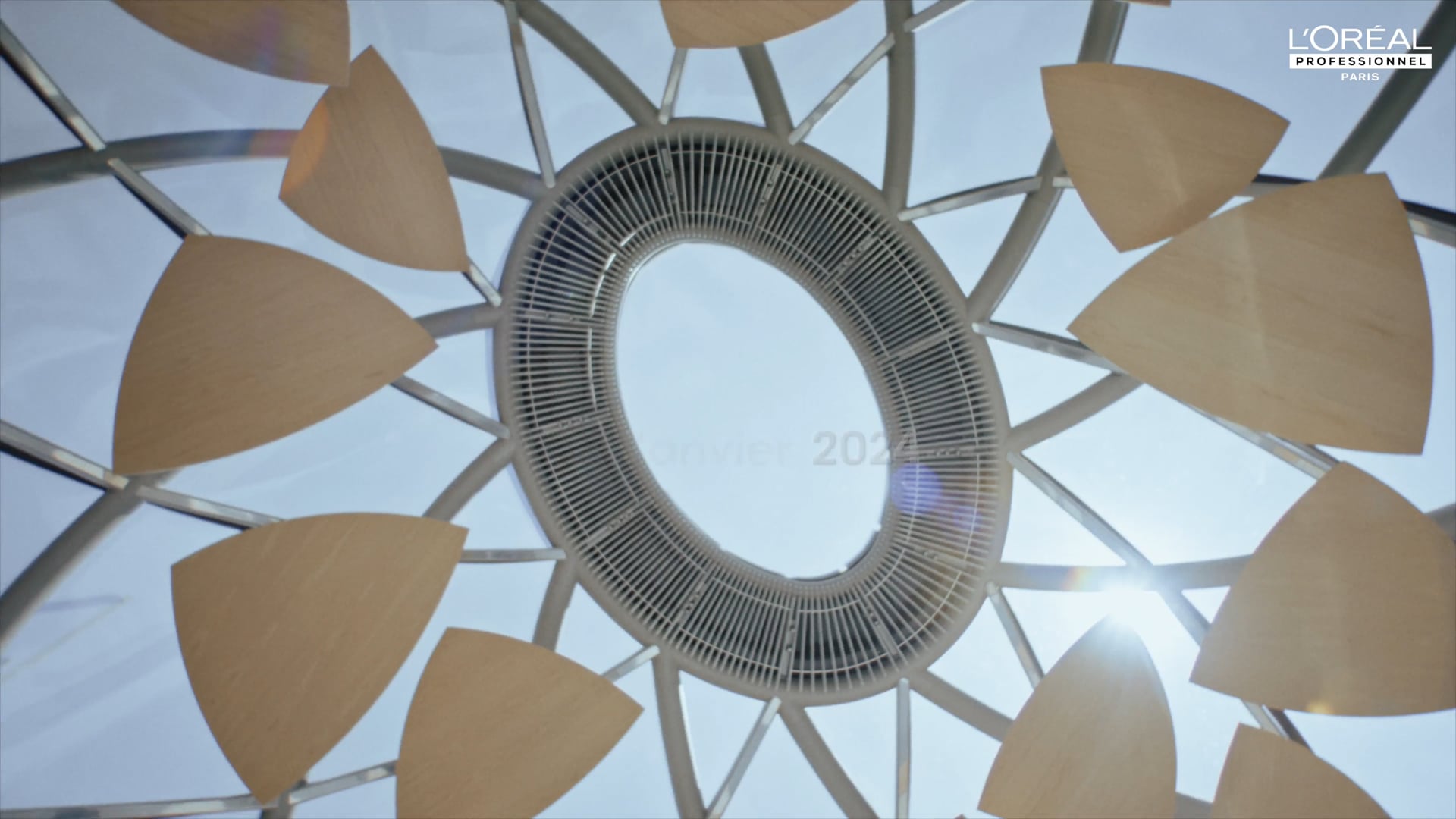 L'Oréal Pro - Pro Discovery