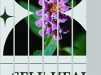 Self-Heal (Prunella vulgaris)