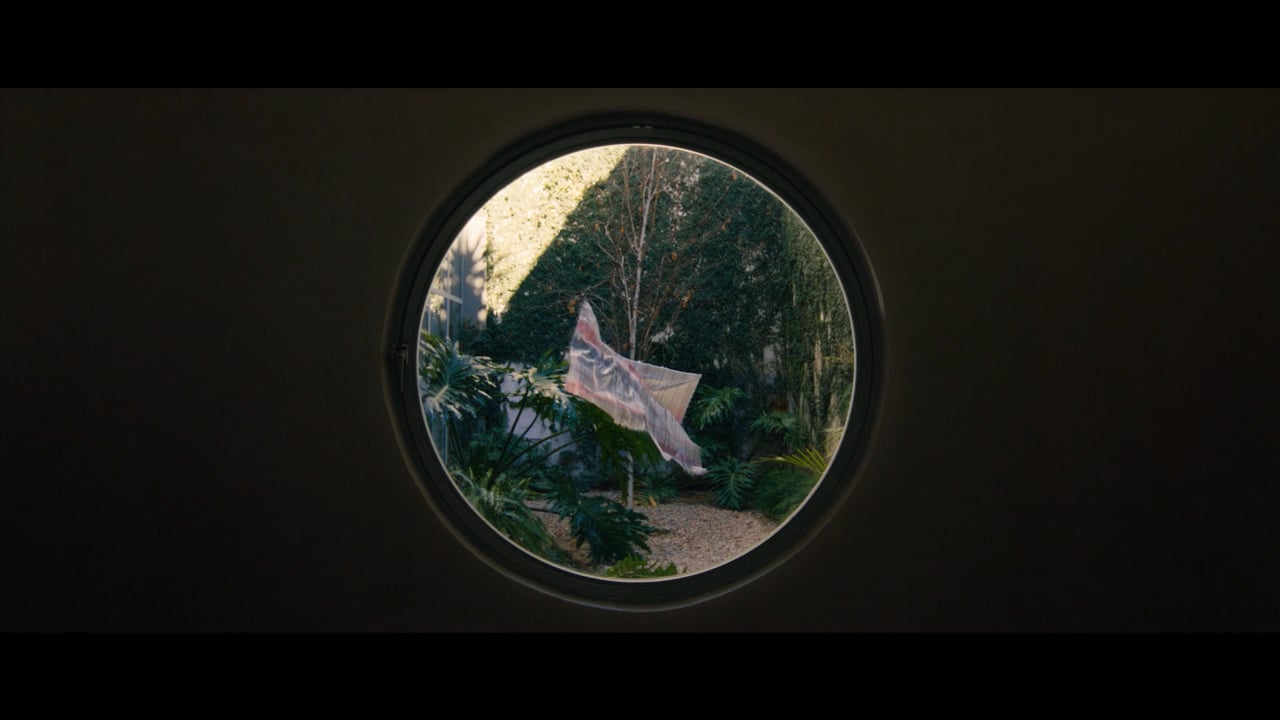 Thumbnail for CHINA – “MANIFESTO”