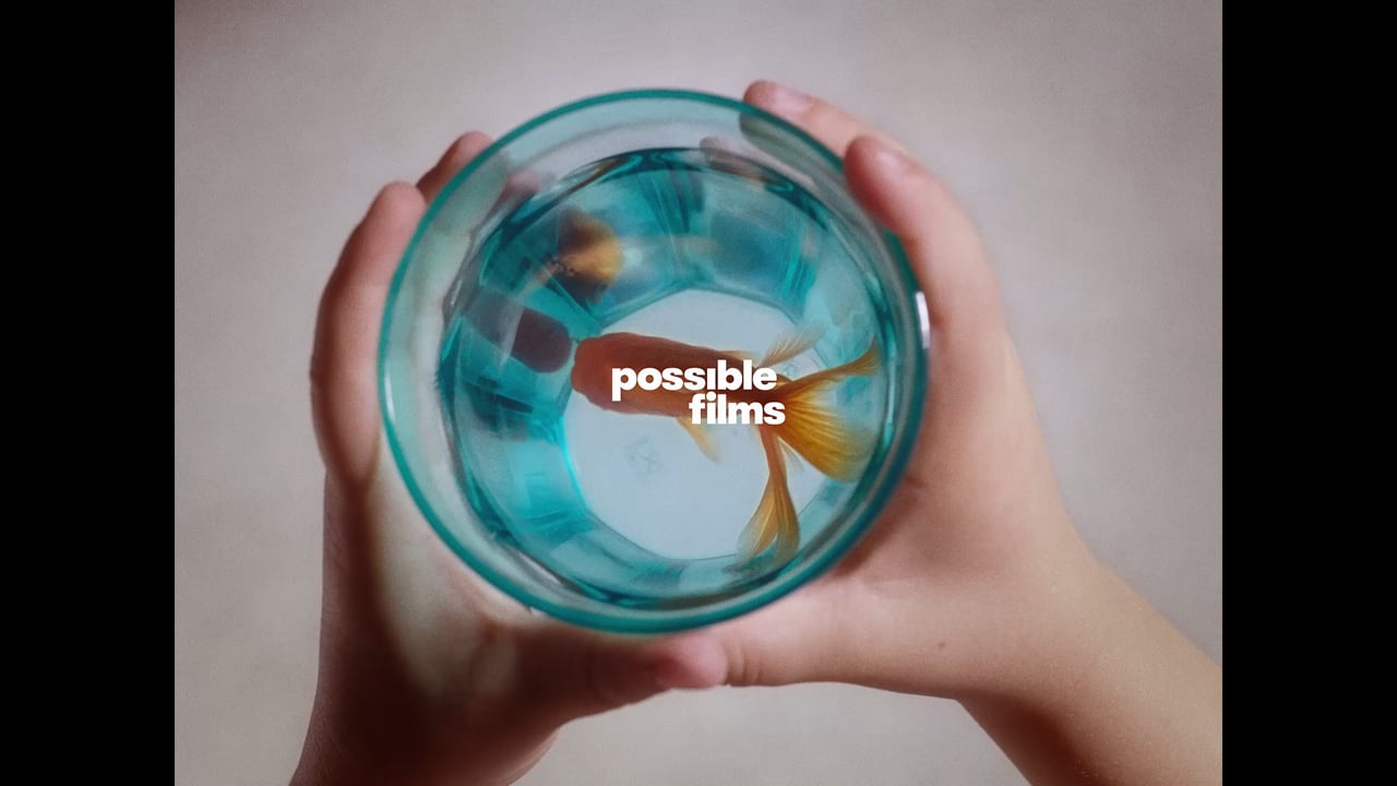 Thumbnail for ADÉU PEIXET