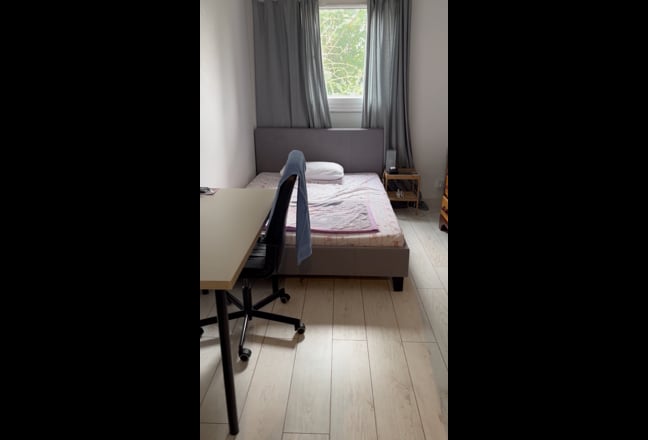 Spacious double room in four-room apt. near Camden Main Photo