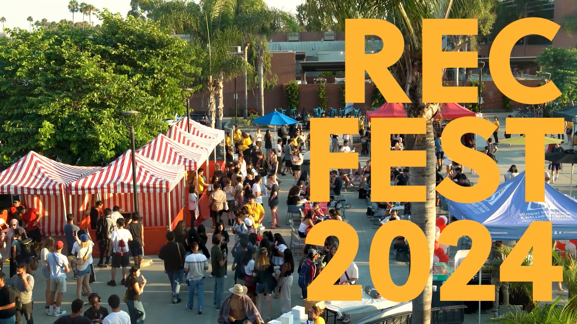 Rec Fest Recap 2024