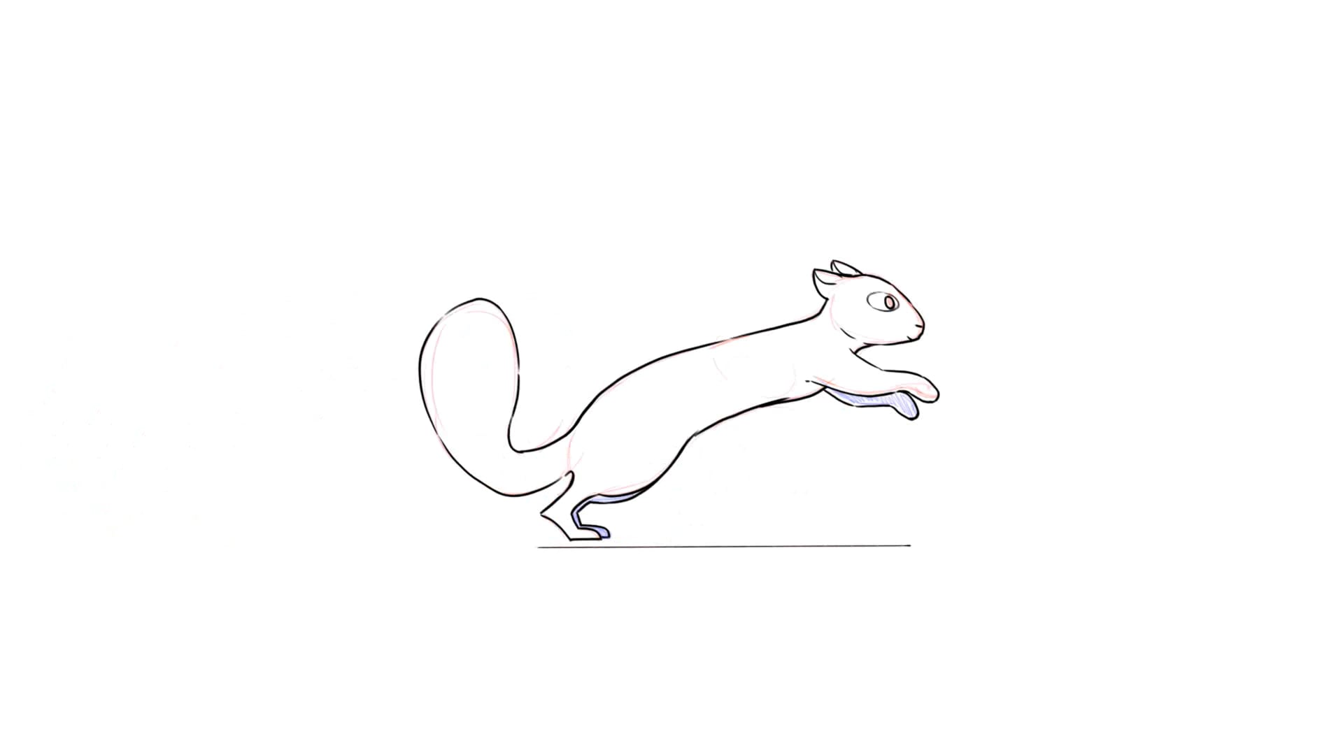 squirrel run