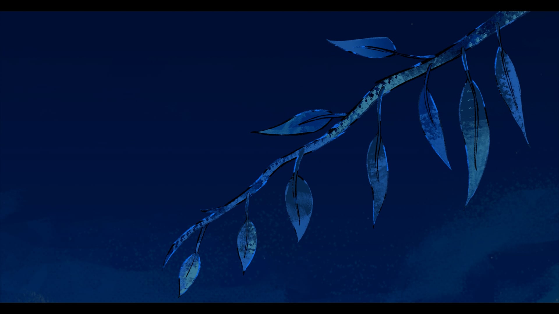 INTRO - La Ruta de Raimondi