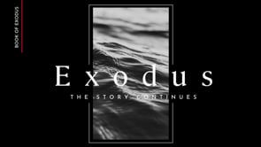 Exodus Week 12