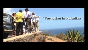 Forgotten in Paradise: U.S. Virgin Islands Mental Health Community