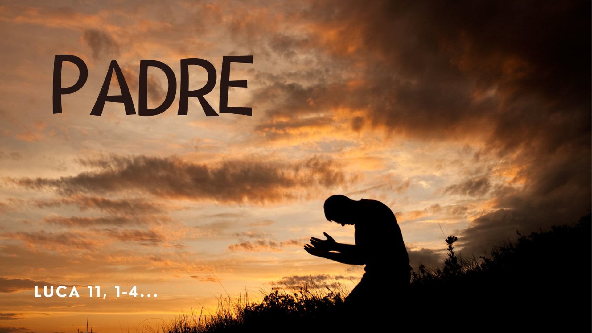 Lectio novembre 2024