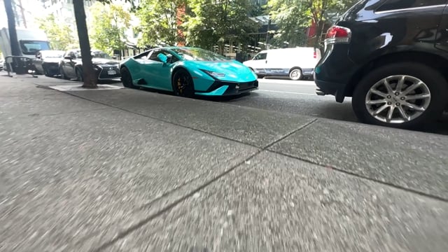 12396440_1920_1080_30fps.mp4