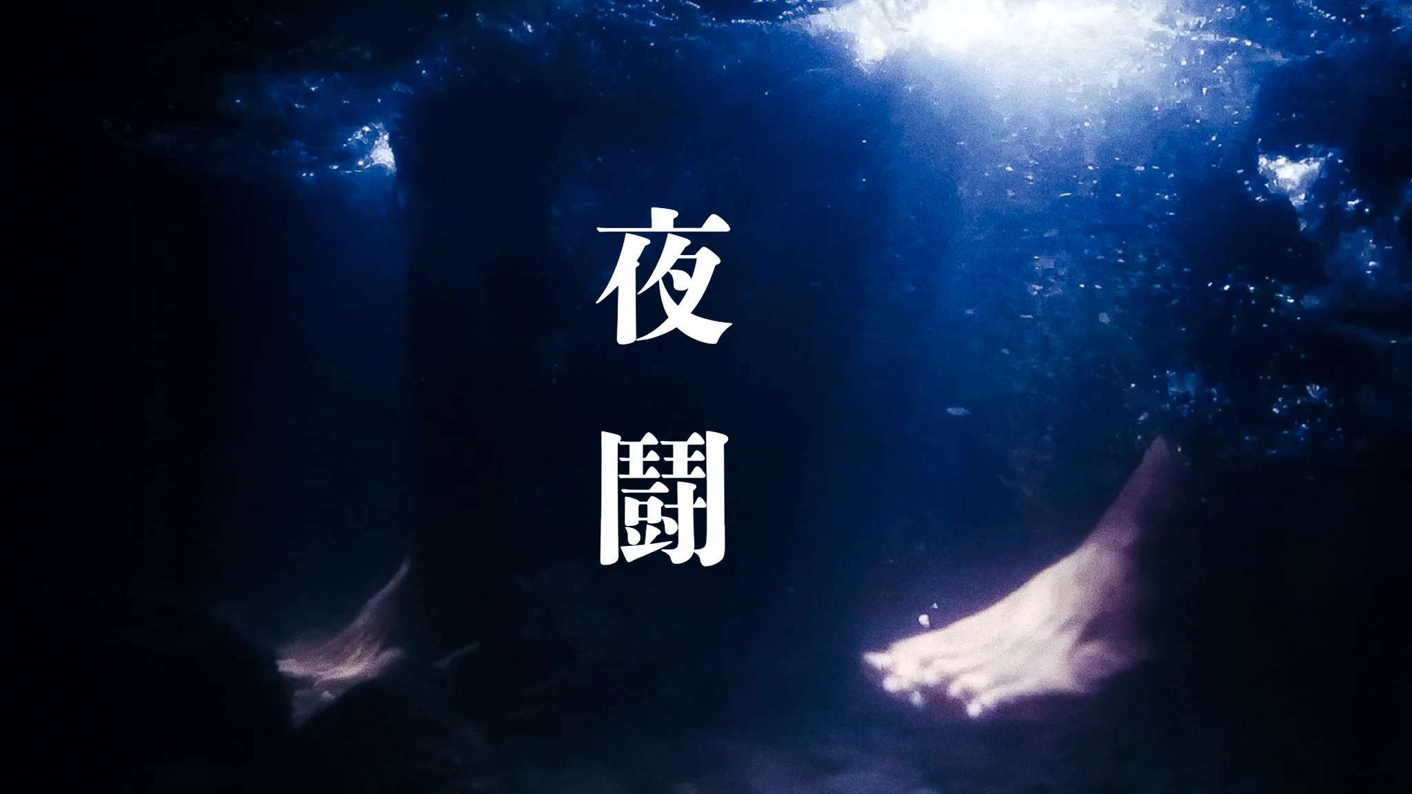 2023海人制作 水下作品 【夜鬪】