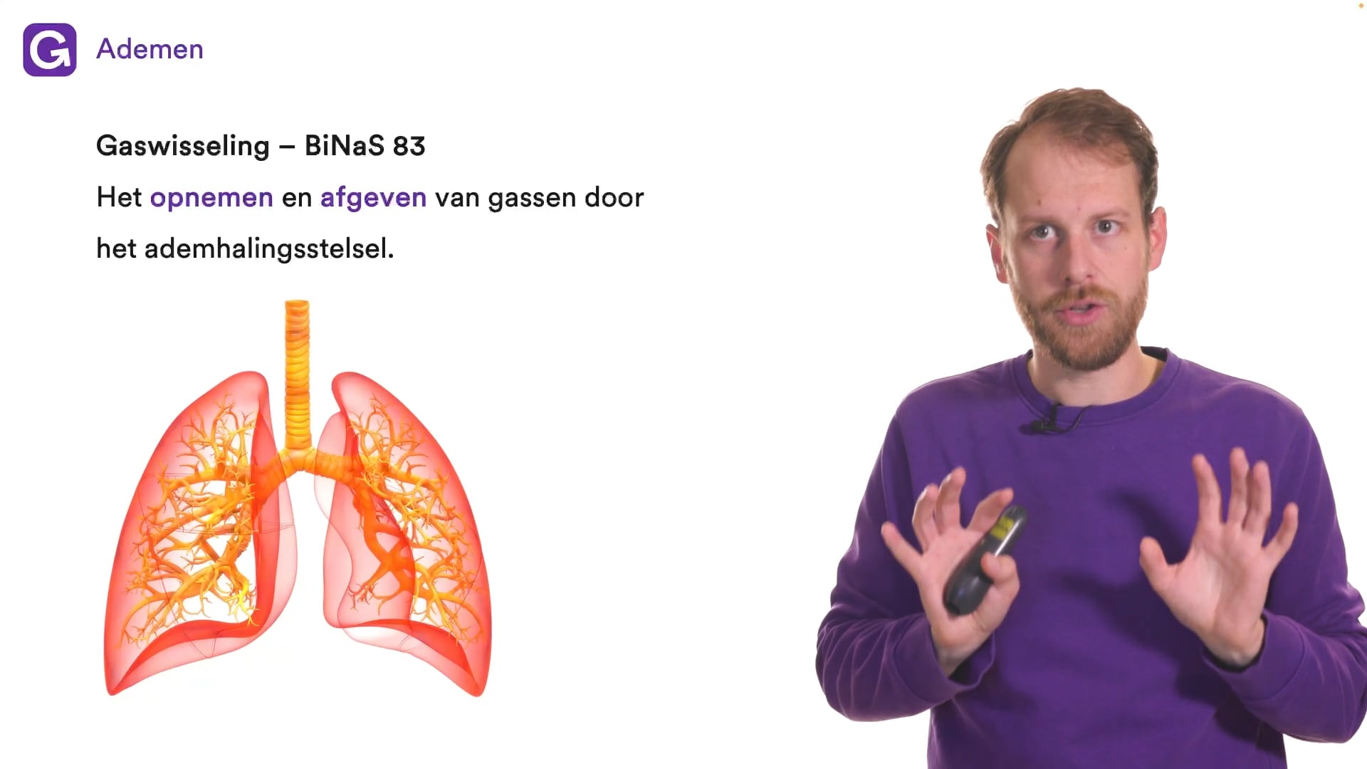 Ademhalen: mensen (Nectar) oefenen | StudyGo