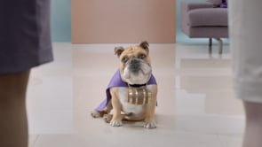 Related Embedded Video Item Thumbnail