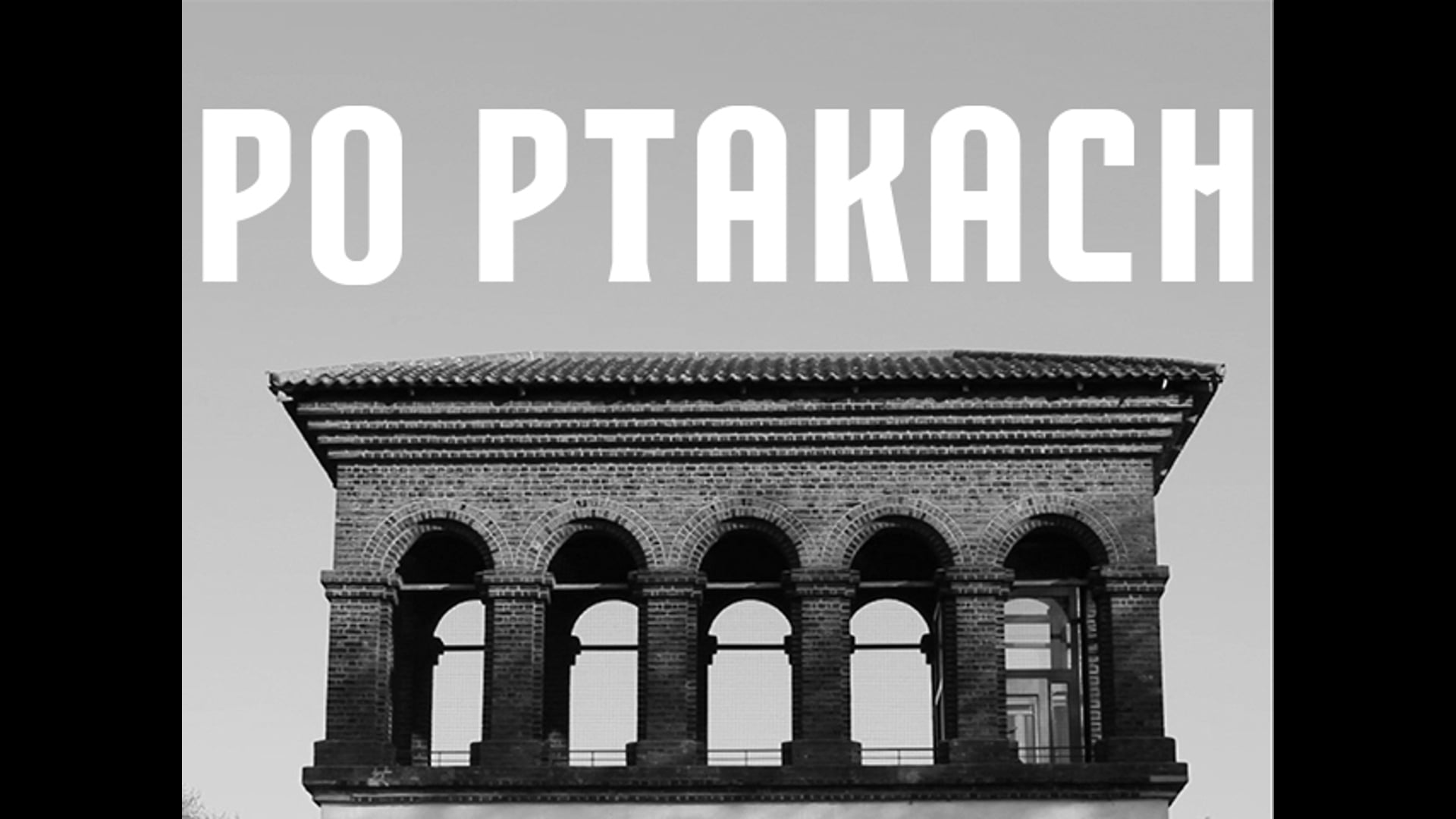 Po Ptakach (After The Birds)