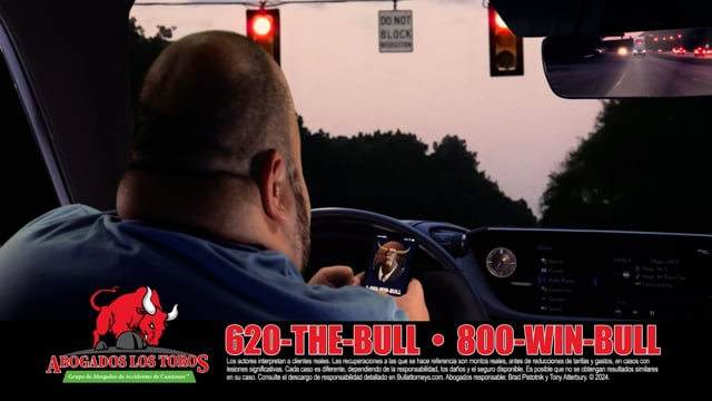 The Bull