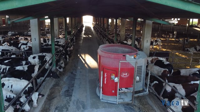 Conoce el sistema de alimentación automática Lely Vector