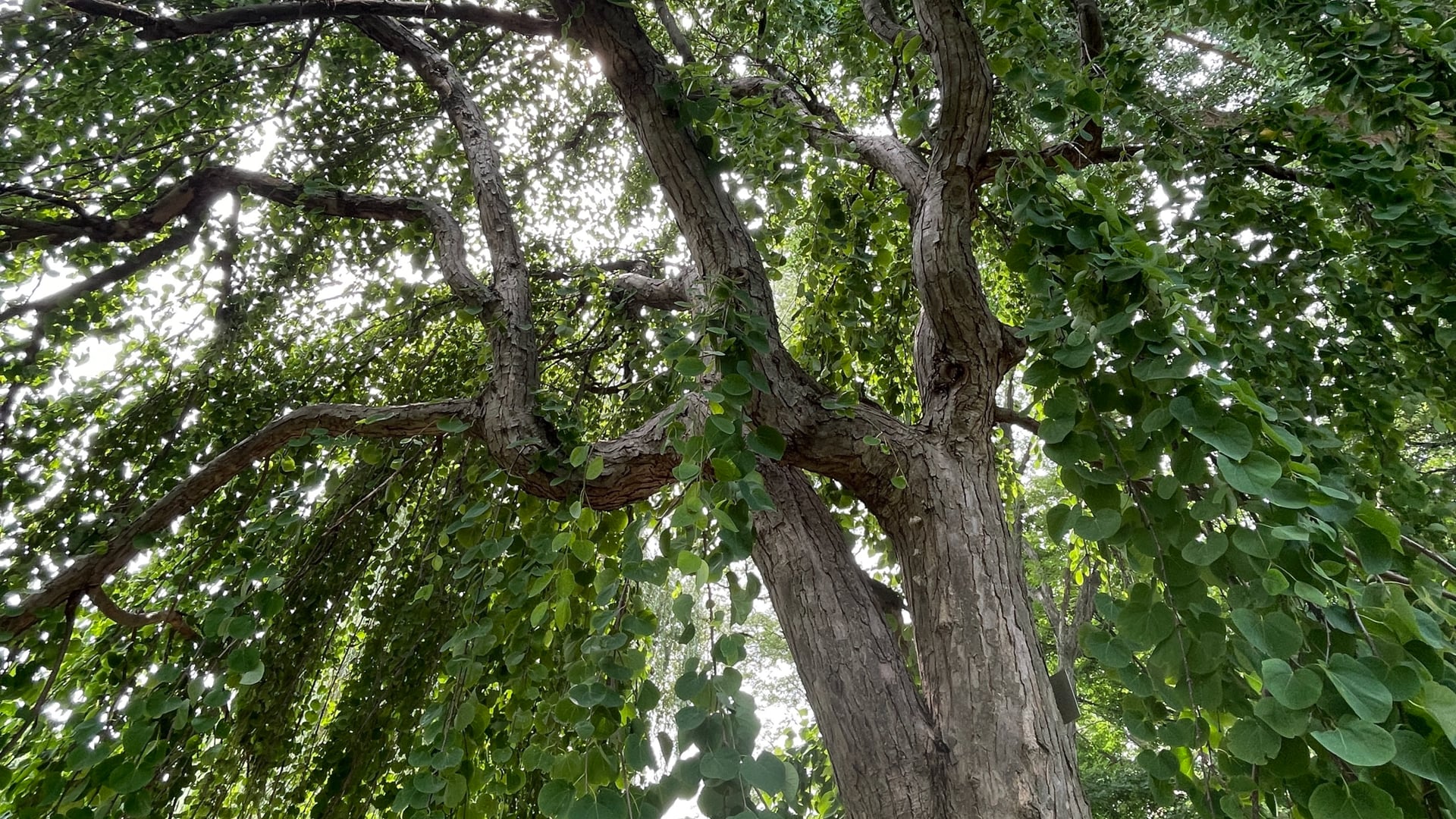 2024 November 11: The Significance of Balanced Energy